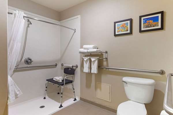 Suite - Comfort Suites Airport Ontario