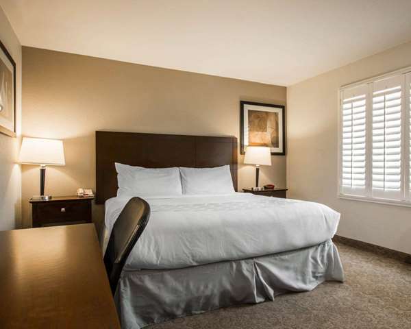 Suite - Rodeway Inn Convention Center Los Angeles