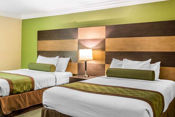 Suite - Rodeway Inn & Suites Canyon Lake