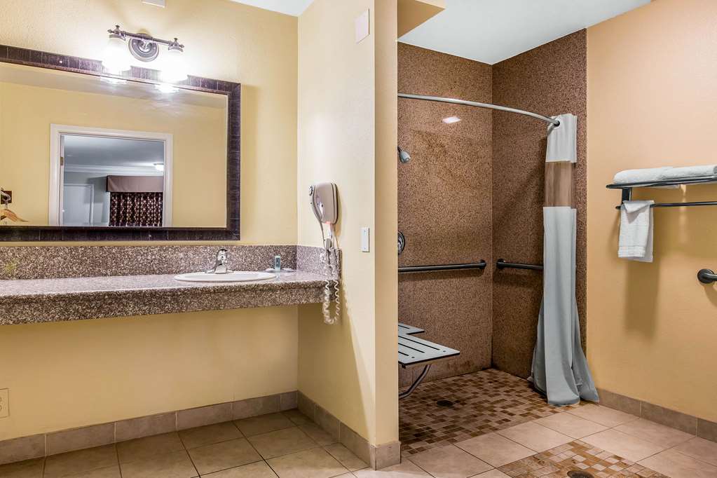 RODEWAY INN AND SUITES CANYON LAKE--guestroom-Guest Room,Bathroom,On-Site.jpg