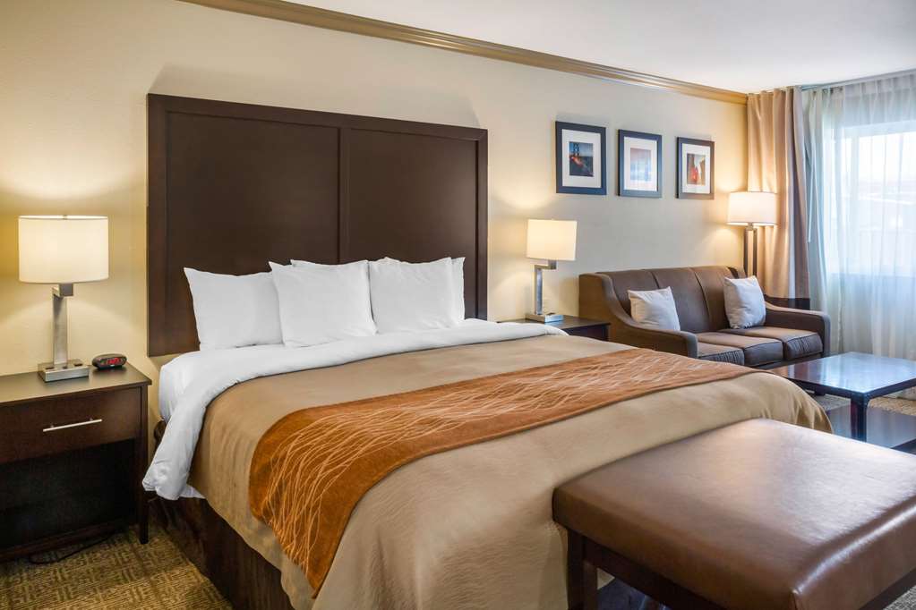 COMFORT INN CASTRO VALLEY-guestroom-Guest Room,Suite,On-Site.jpg