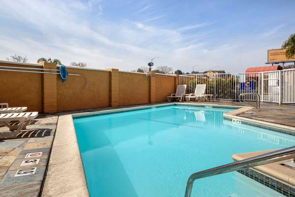 Pool - Comfort Inn Castro Valley