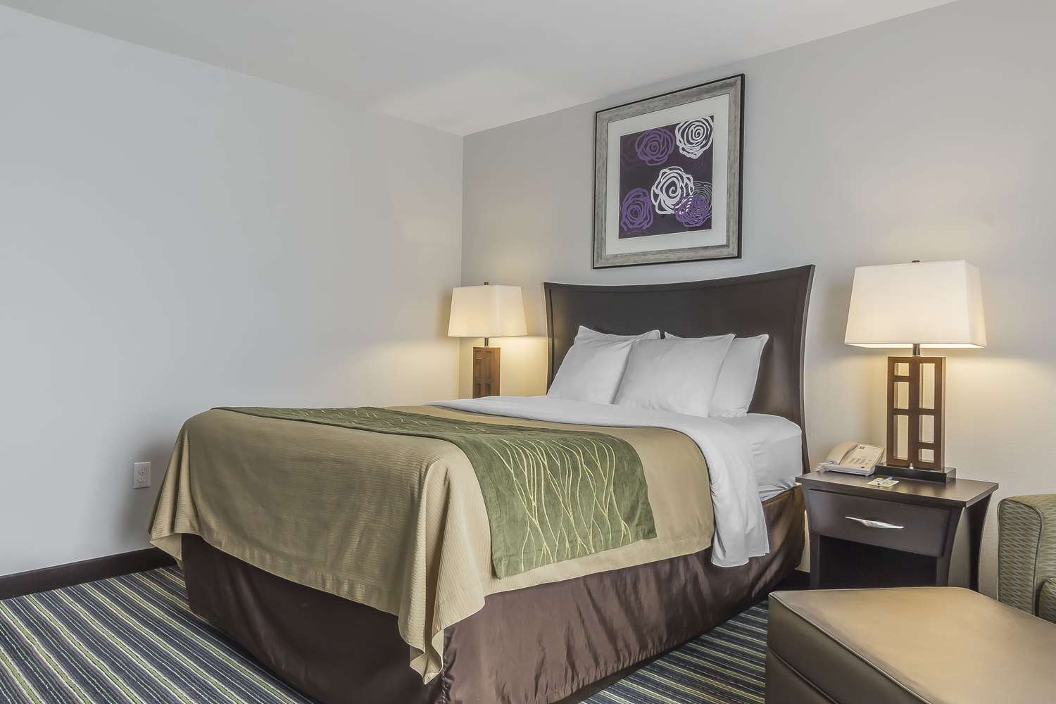 Comfort Inn & Suites Moose Jaw, SK - See Discounts