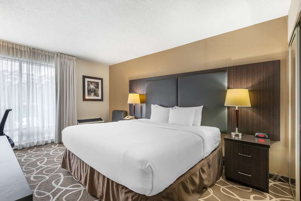 COMFORT INN-guestroom-Guest Room,On-Site.jpg