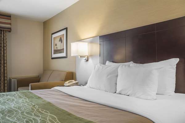  - Comfort Inn Chatham