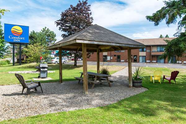 Exterior view - Comfort Inn Huntsville