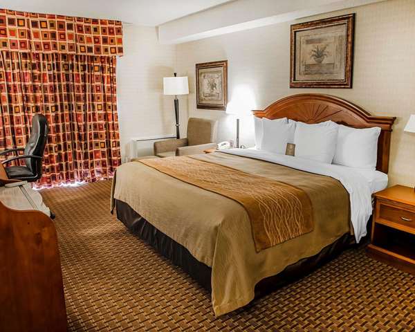  - Comfort Inn Northeast Markham