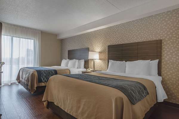  - Comfort Inn Levis