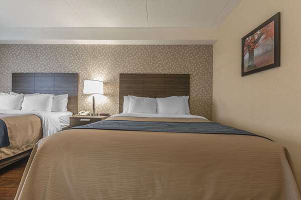  - Comfort Inn Levis