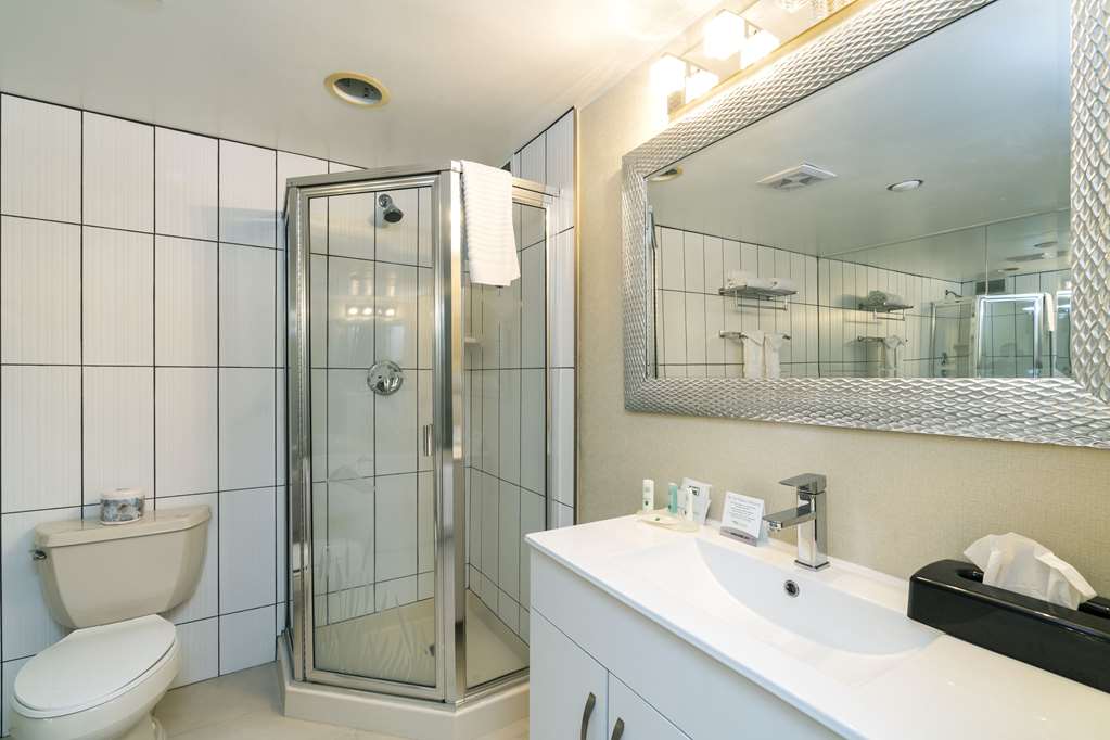 QUALITY INN DOWNTOWN INNER HARBOUR-guestroom-Guest Room,Bathroom,On-Site.jpg