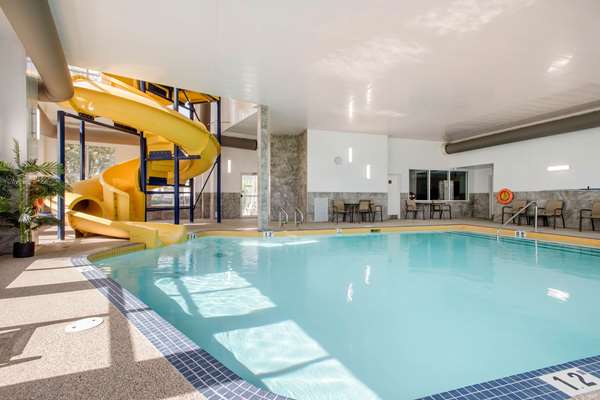 Pool - Comfort Inn & Suites Red Deer