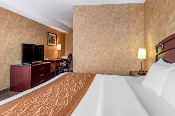 Suite - Comfort Inn Sturgeon Falls