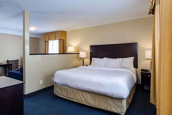 Suite - Comfort Inn Gander