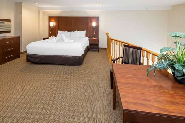 Suite - Comfort Inn & Suites Medicine Hat