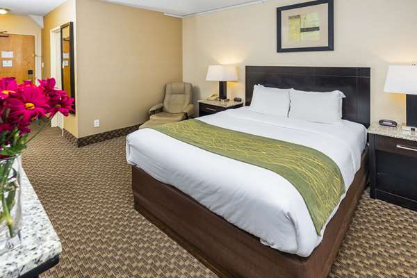  - Comfort Inn & Suites Edmonton