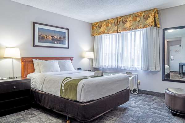 Suite - Quality Inn Halifax Airport Goffs