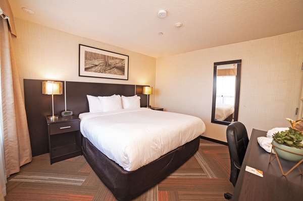 Suite - Quality Hotel Burlington