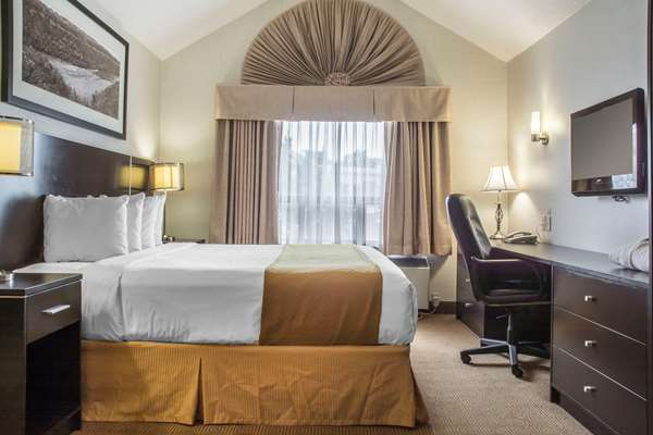 Suite - Quality Hotel Burlington