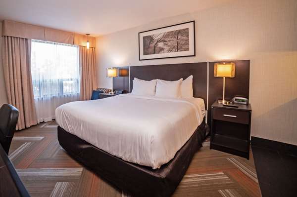 Suite - Quality Hotel Burlington