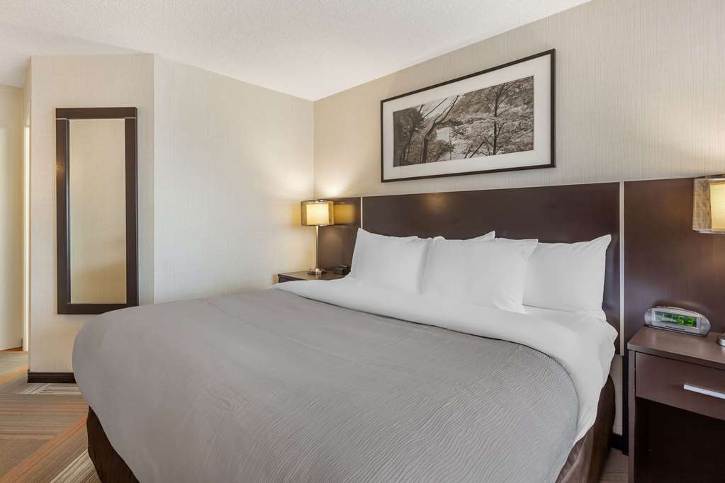 QUALITY HOTEL-guestroom-Guest Room,On-Site.jpg