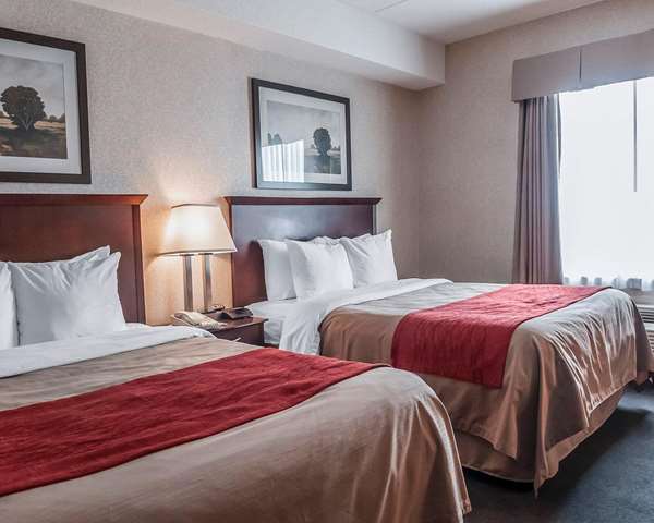  - Comfort Inn North Mississauga