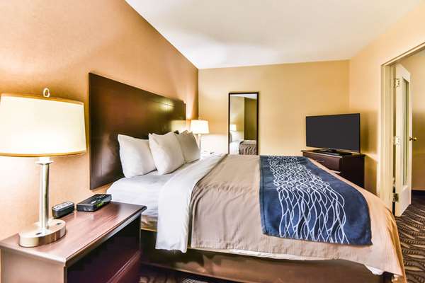 Suite - Comfort Inn & Suites Ambassador Bridge Windsor