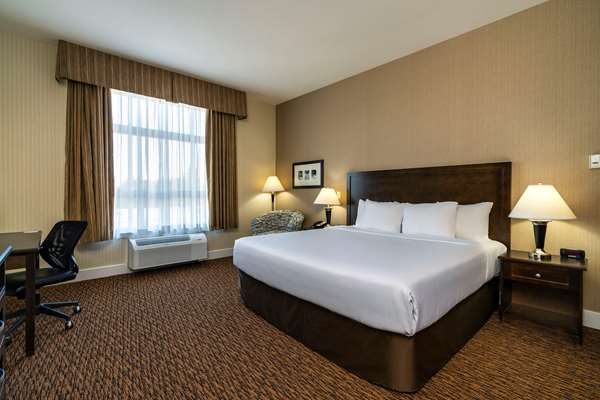 Suite - Comfort Inn & Suites Surrey