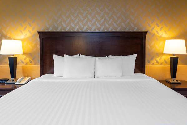 Suite - Quality Inn Quesnel