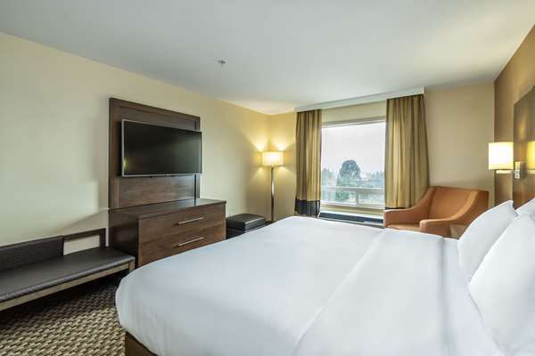 Suite - Comfort Inn & Suites Salmon Arm
