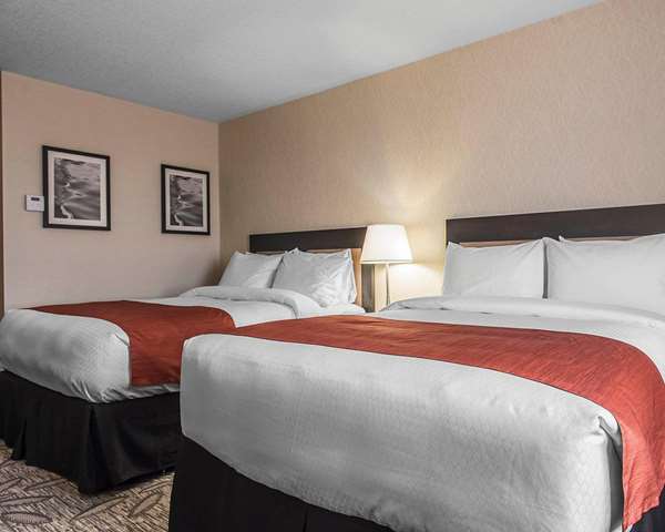  - Quality Inn & Suites Kingston