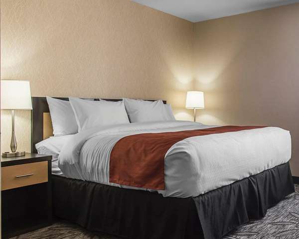  - Quality Inn & Suites Kingston