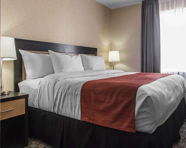  - Quality Inn & Suites Kingston