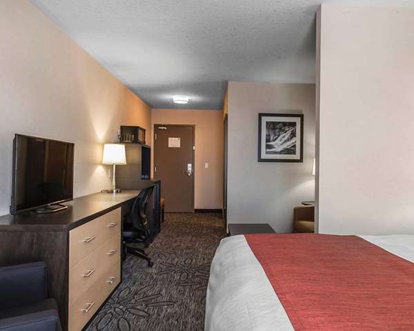  - Quality Inn & Suites Kingston