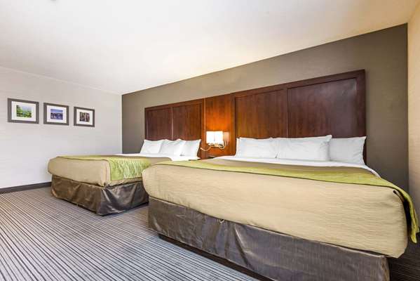  - Comfort Inn & Suites Collingwood