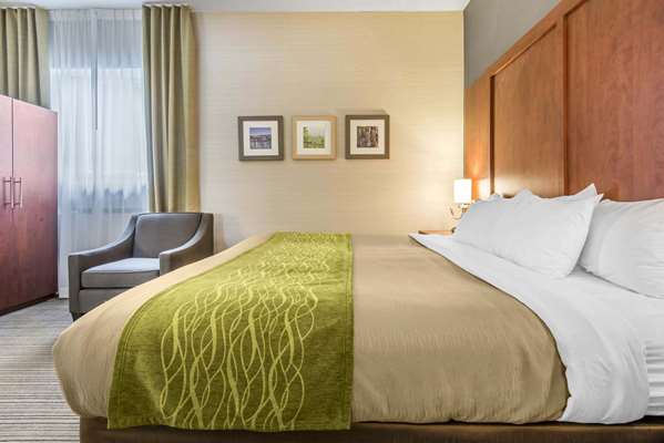  - Comfort Inn & Suites Collingwood