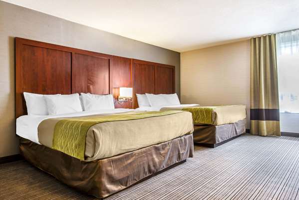  - Comfort Inn & Suites Collingwood