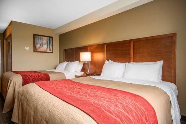  - Comfort Inn & Suites Langley