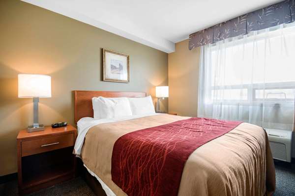 Suite - Comfort Inn & Suites Langley