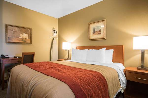 Suite - Comfort Inn & Suites Langley