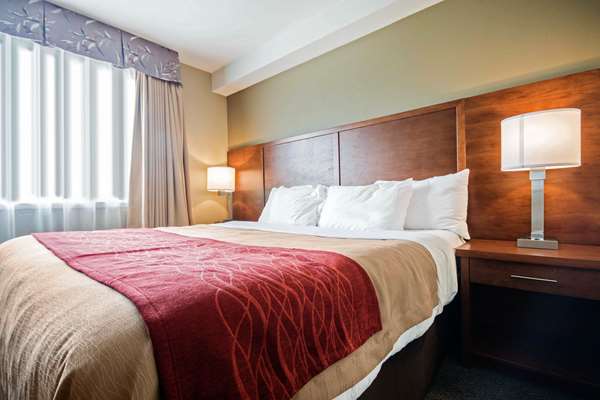 Suite - Comfort Inn & Suites Langley