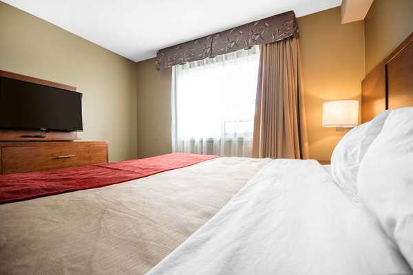 Suite - Comfort Inn & Suites Langley