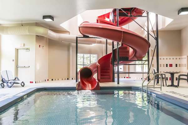 Pool - Quality Inn Airport Dieppe