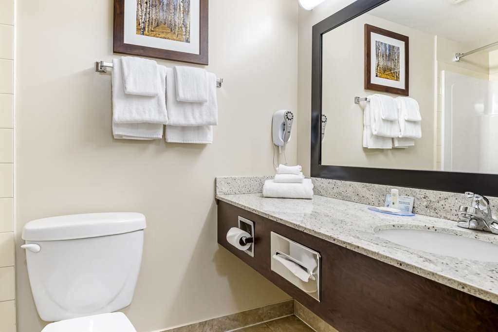 QUALITY INN AIRPORT-guestroom-Guest Room,Bathroom,On-Site.jpg