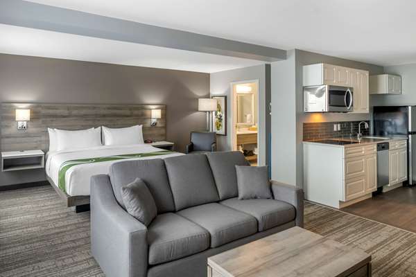 Suite - Quality Inn & Suites Fredericton