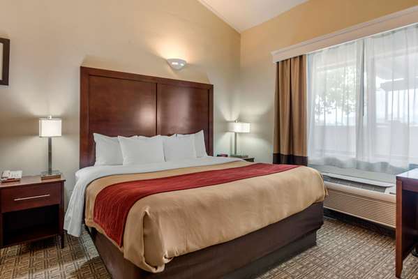  - Comfort Inn Alamosa