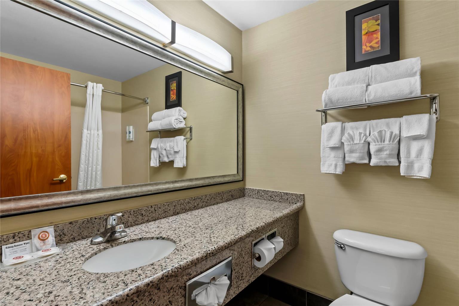 COMFORT SUITES DENVER TECH CENTER-guestroom-Guest Room,Bathroom,On-Site.jpg