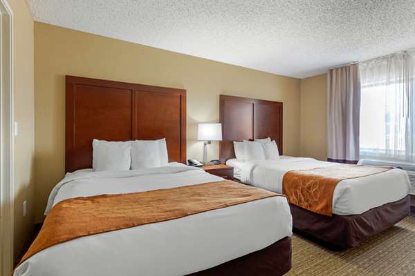 Suite - Comfort Suites Lakewood