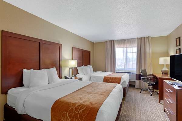 Suite - Comfort Suites Lakewood