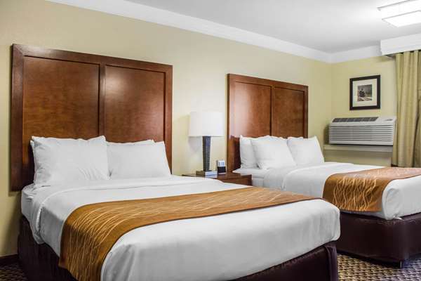 Suite - Comfort Inn & Suites Durango
