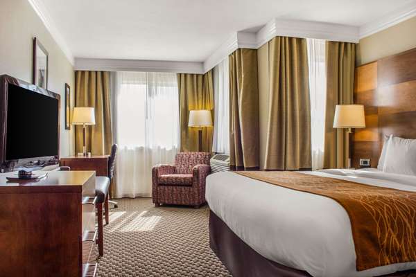 Suite - Comfort Inn & Suites Durango